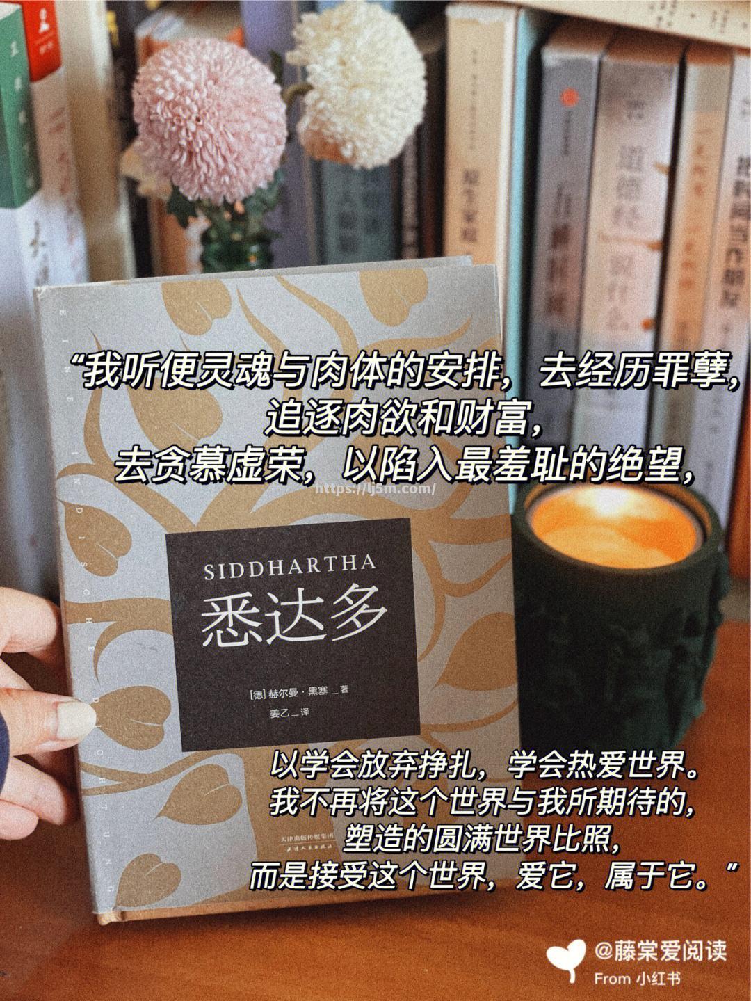 追赶上前面的人：竞争如此残酷